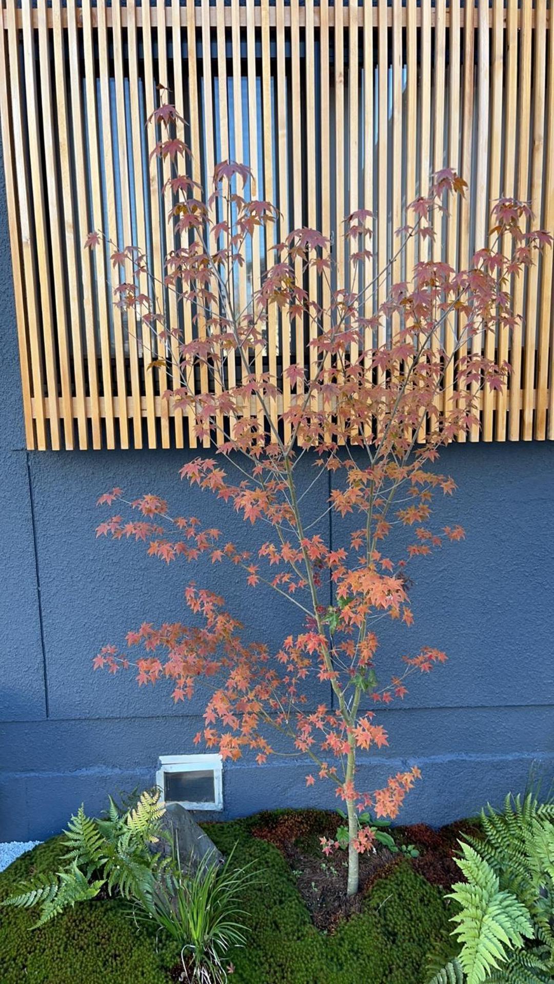 静雅の宿 Kioto Zewnętrze zdjęcie